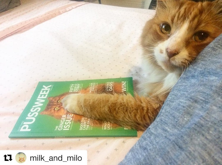 Pussweek Issue Three