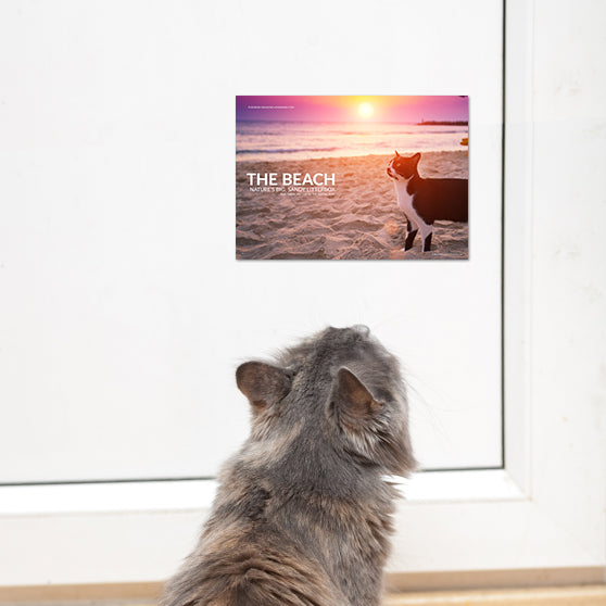 Look at this and let it inspire you to poop and catch fish.