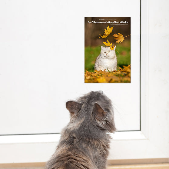 Raise awareness. Raise a paw.